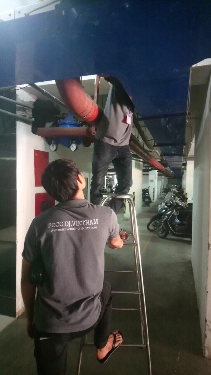 hình