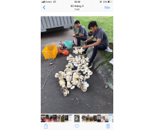 BẢO TRÌ PCCC TẠI HUYỆN KIM KHÁNH TĨNH NINH BÌNH;