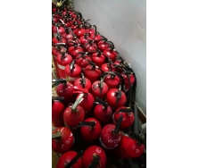 NẠP SẠC BÌNH CHỮA CHÁY GIÁ CẠNH CHANH TẠI HÀ NỘI;