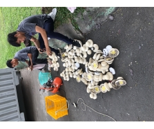 SỮA CHỮA BẢO TRÌ HỆ THÔNG PCCC KHU CÔNG NGHIỆP NHÀ CAO TỪNG TẠI TĨNH BẮC NINH;